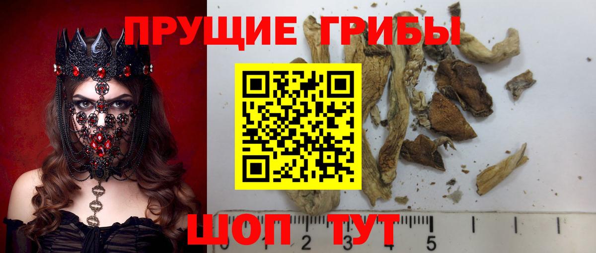 Моршанск  Галлюциногенные грибы Magic Shrooms  Вход с VPN 